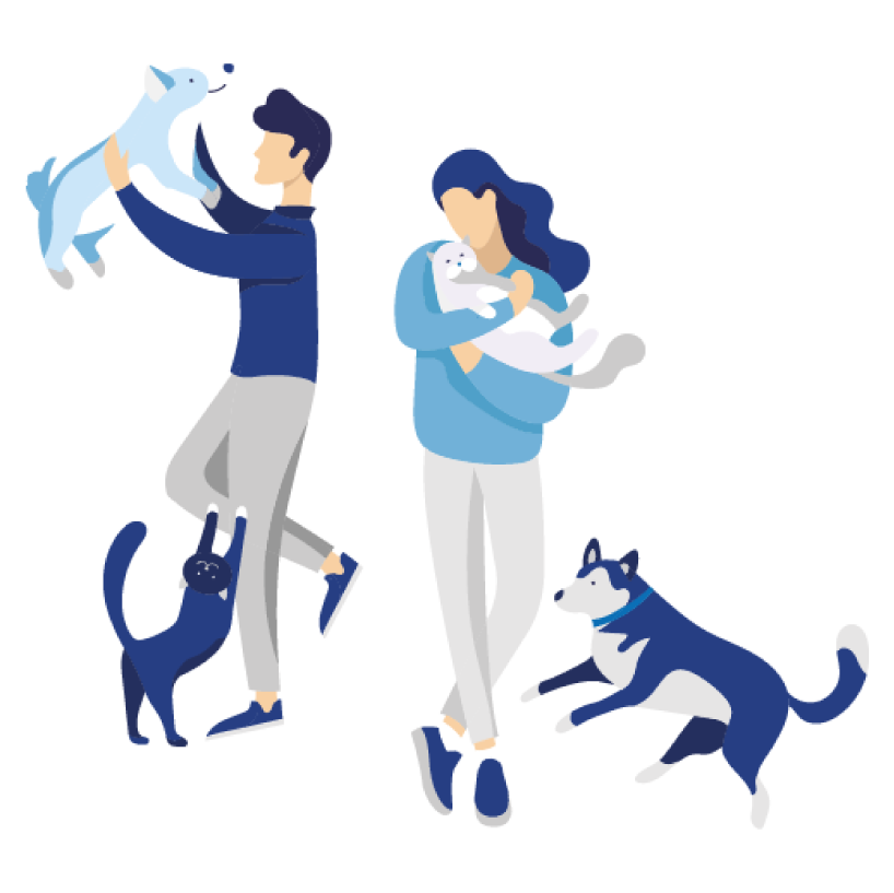 Yolo for Pet: l'assicurazione dedicata a cane e gatto